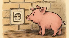 Vtip: Stojí prasátko proti zásuvce a...