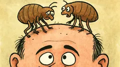 Vtip: Potkají se dvě blechy, jedna má…