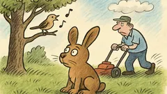 Vtip: Zajíčku, proč máš tak krátké uši?